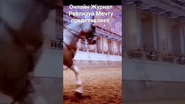 Школа Испанской конной езды в Вене.