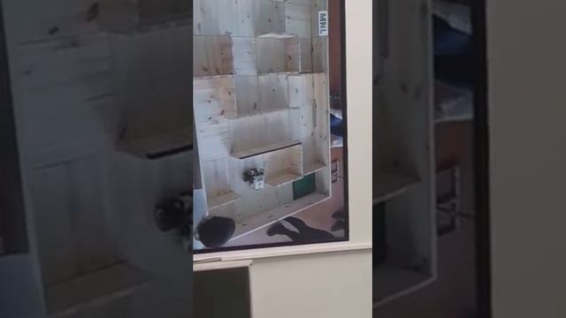 Робоарт 2019 лабиринт # долго но доехал смотреть онлайн