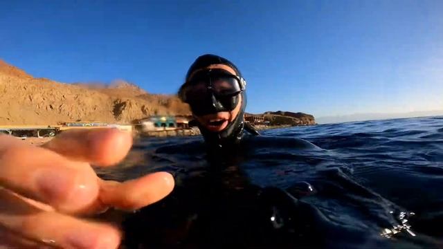 Dahab Blue Hole dive with Dolphins смотреть онлайн