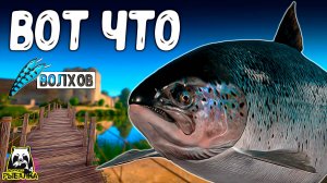 РУССКАЯ РЫБАЛКА 4. МНОГИЕ НЕДООЦЕНИВАЮТ А ТУТ ВОТ ЧТО ПРОИСХОДИТ #рр4