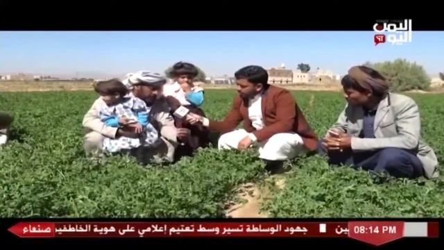 شاهد || قناة اليمن اليوم - برنامج علان - زراعة البرسيم - بني الحارث -17-02-2022م смотреть онлайн