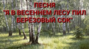ПЕСНЯ "Я В ВЕСЕННЕМ ЛЕСУ ПИЛ БЕРЁЗОВЫЙ СОК". ИСПОЛНЯЕТ ВЯЧЕСЛАВ ПИЛЯВИН.