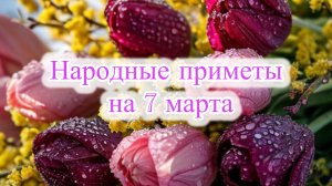 Народные приметы на 7 марта: что можно и нельзя делать в Маврикиев день.