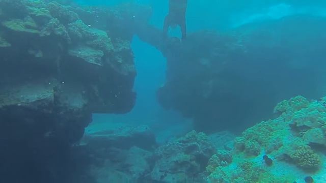 Deep Sea Scooter Ride - Swim faster in the ocean смотреть онлайн