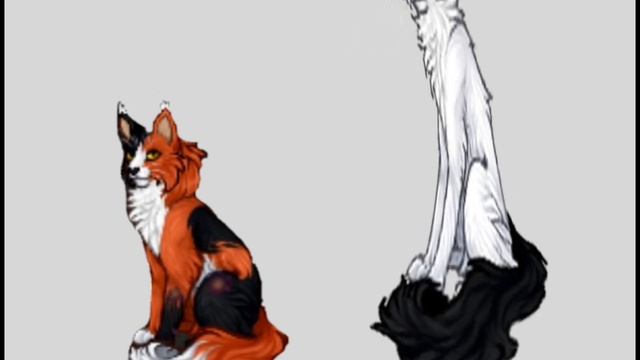 CatWar для настоящих женщин. Мои будни в CatWar Ч. 1