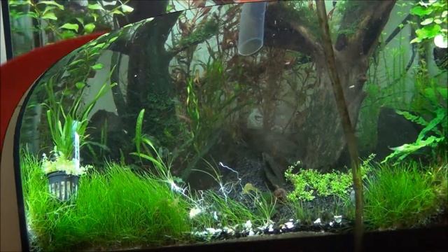 Changes in the 56 Gal смотреть онлайн