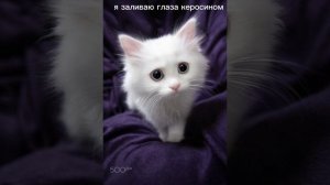 •✨я заливаю глаза керосином 💗•    💓•Ремикс•