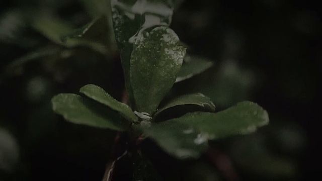 Kapalaran - Bea Lorenzo (Official Music Video)