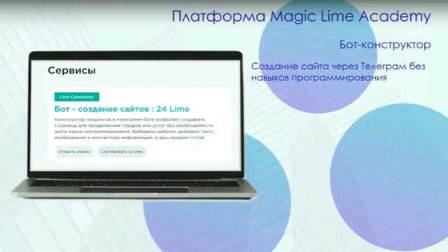 Короткое видео о компании Magic Lime Academy. смотреть онлайн