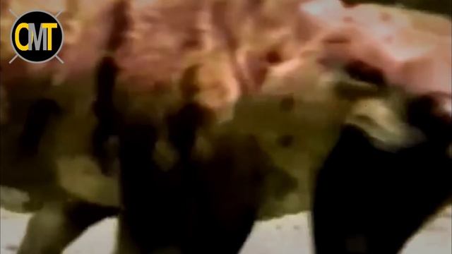 7 Animais Mais Letais Na Idade Da Pedra смотреть онлайн