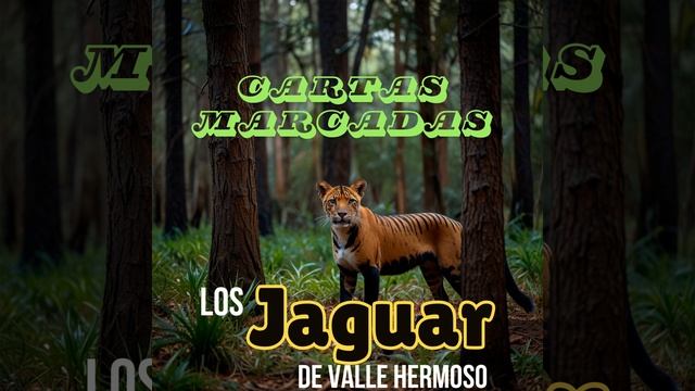 Cartas Marcadas смотреть онлайн