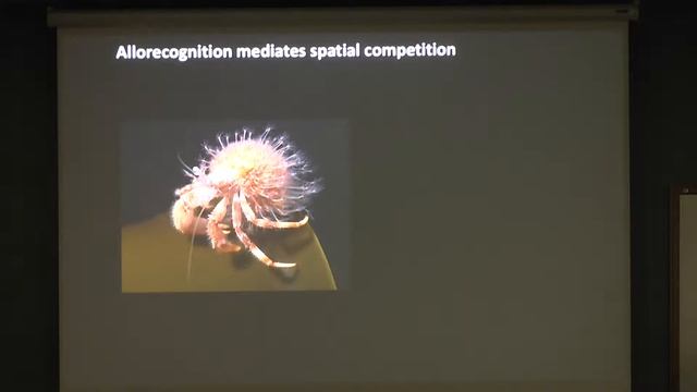 Matthew Nicotra, University of Pittsburgh - Part I смотреть онлайн