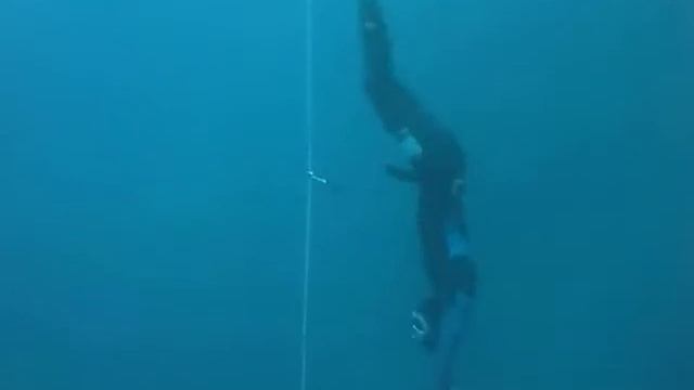 Freediving - Freedive Dahab Festival Competition 2012 - Total Freedive.wmv смотреть онлайн