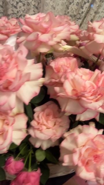 🔴 РАСПАКОВКА , ОБЗОР🔴 смотреть онлайн