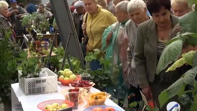 28 февраля Росток смотреть онлайн