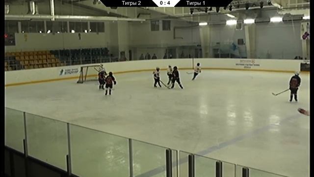 Тигры-1 (Владимир) - Тигры - 2 (Владимир) смотреть онлайн