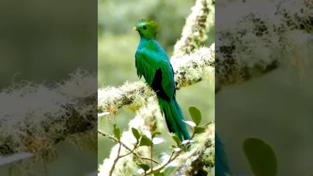 Blessings of Allah Almighty смотреть онлайн