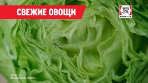 Реклама Kfc: Вкусные цены шеф ролл 169 рублей 2025 10 сек