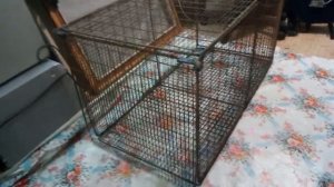 Клетка для ловли фазана 1 часть.