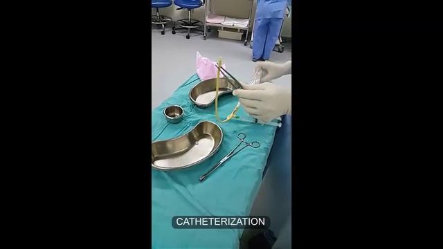 URINARY BLADDER CATHETERIZATION (FEMALE) смотреть онлайн