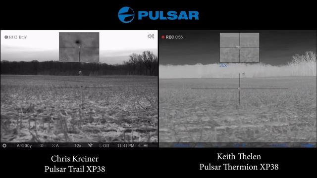 Pulsar Trail XP38 VsThermion XP38