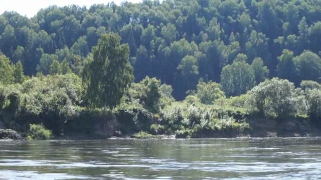 Тополя - Мамонт