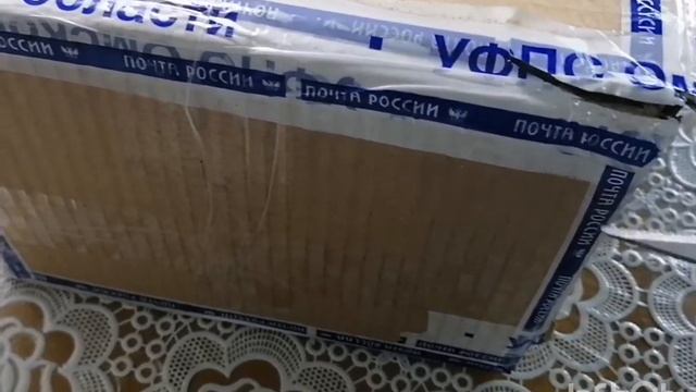 13 августа 2022 г. смотреть онлайн