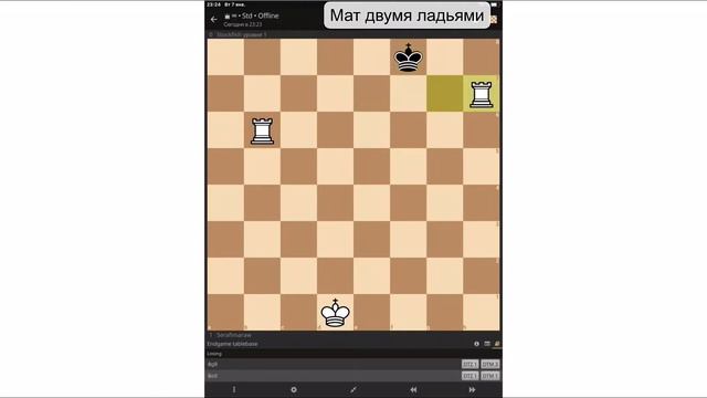 Мат двумя белыми ладьями чёрному королю. Шахматы. смотреть онлайн