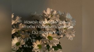 Какой хороший день чтобы подарить цветок - DJ Stonik1917