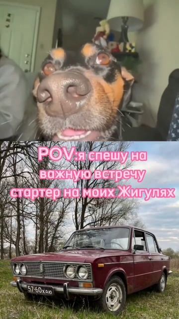 Жиза? #ваз #рекомендации #ваз2106 #ваз2107 #2023 #жигуль #car #funny #рек #shorts #short #fan смотреть онлайн