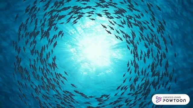 Smart Water Quality Monitoring System смотреть онлайн