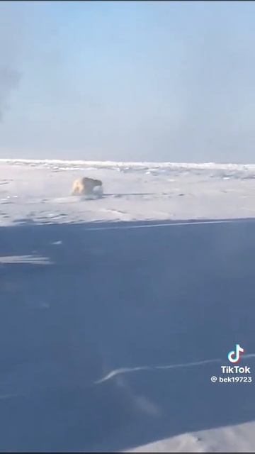 1000014084.mp4 смотреть онлайн