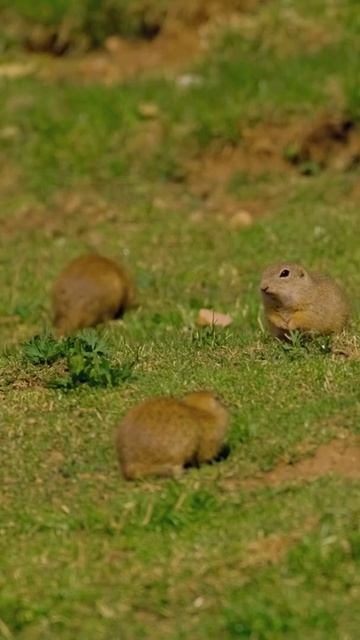Красоти нашої планети смотреть онлайн