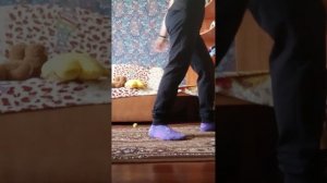 видеоурок как прыгать прыжки в фигурном катании в правую сторону и в левую