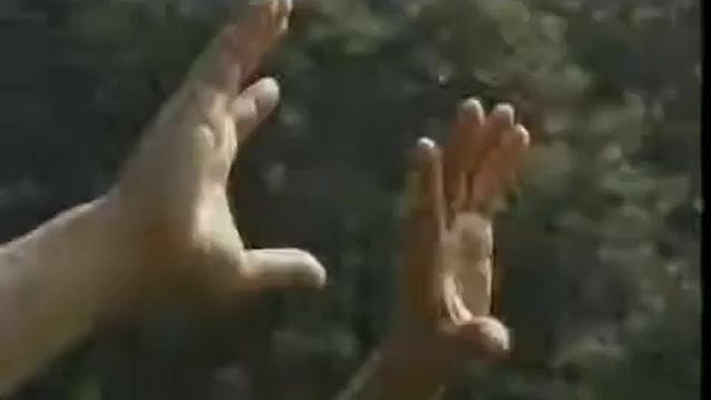 Zhan Zhuang Qi Gong - Lam Kam Chuen - Stand still be fit - El camino de la energia - Día 6 смотреть онлайн
