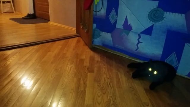 Плохая собака
