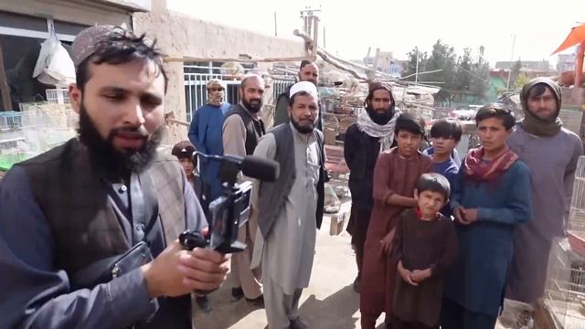 Exploring The Ancient City Ghazni In Afghanistan! - Enter Afghanistan Episode 9