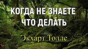 Когда не знаете что делать, как принимать решения. Экхарт Толле, озв. Никошо