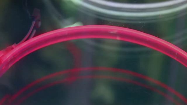 Неоновый Городок на Петровке