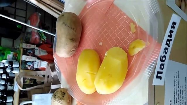Какой картофель самый вкусный?