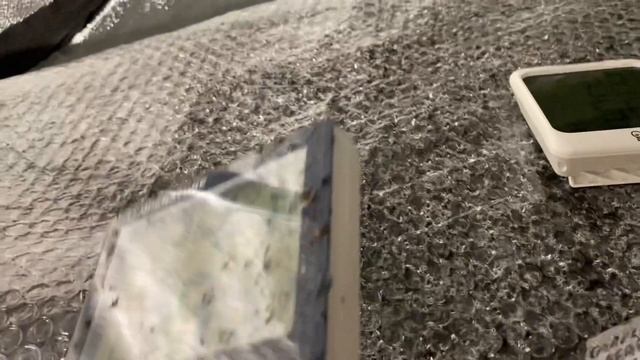 SemiStrani.it - La giusta Temperatura e Umidità nella Germinazione dei Peperoncini Capsicum Chinens смотреть онлайн