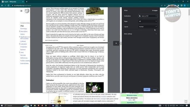 How to Convert Chrome HTML Document to PDF (2025) смотреть онлайн