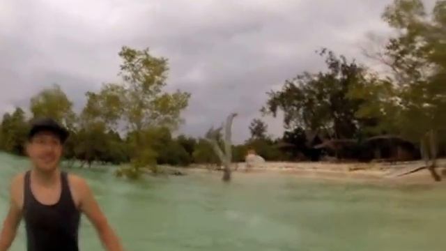 sup mangrove experience Zanzibar смотреть онлайн