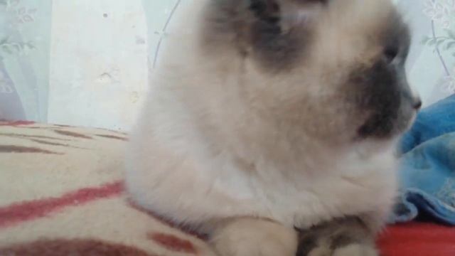 ставки больше смотреть онлайн