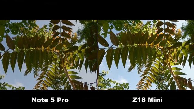 Nubia Z18 Mini Vs Xiaomi Redmi Note 5 Pro Camera Test смотреть онлайн