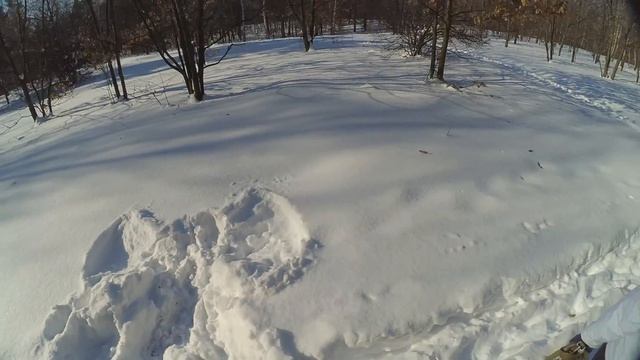Forest Travel 2018 03 05 смотреть онлайн