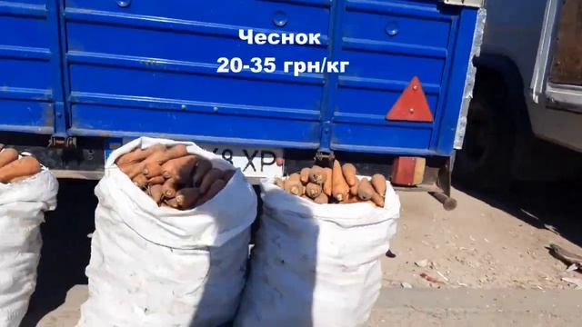Рынок в Больших Копанях цены 12.08 смотреть онлайн