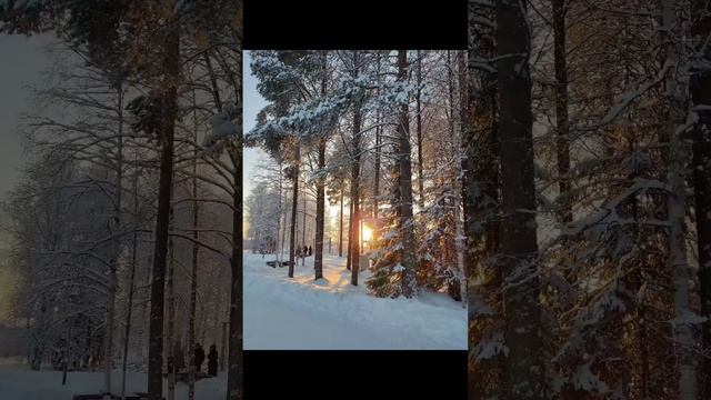 Чудесные каникулы 2024
