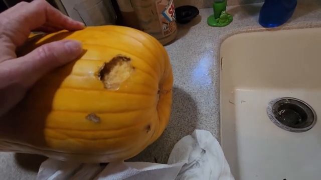 How to store pumpkins and squash whole смотреть онлайн