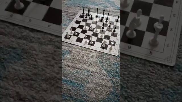 как я играл на турнире по шахматам. смотреть онлайн